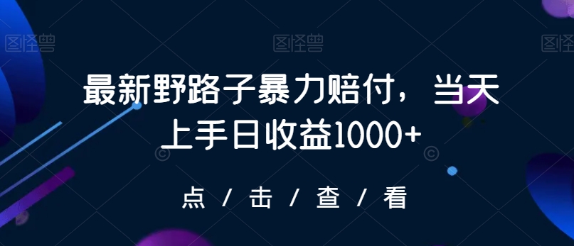 最新野路子暴力赔付，当天上手日收益1000+【仅揭秘】-启程资源站