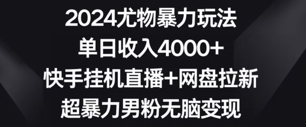 2024尤物暴力玩法，单日收入4000+，快手挂机直播+网盘拉新，超暴力男粉无脑变现【揭秘】-启程资源站