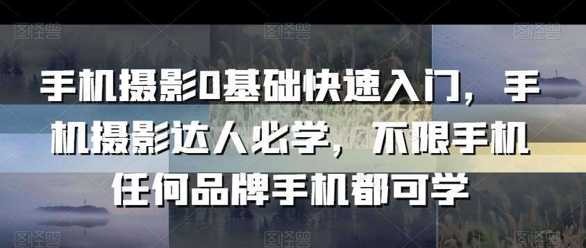 手机摄影0基础快速入门，手机摄影达人必学，不限手机任何品牌手机都可学-启程资源站