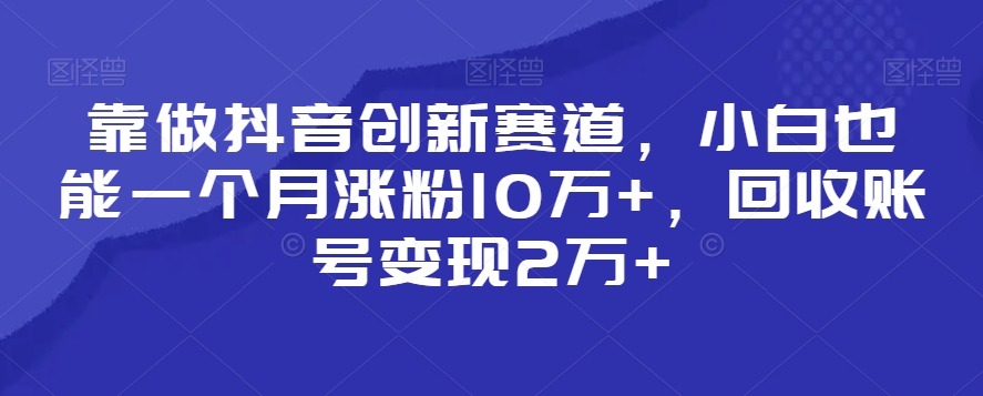 靠做抖音创新赛道，小白也能一个月涨粉10万+，回收账号变现2万+【揭秘】-启程资源站