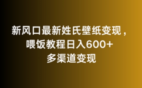 新风口最新姓氏壁纸变现，喂饭教程日入600+【揭秘】-启程资源站