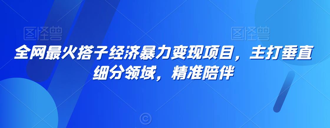 全网最火搭子经济暴力变现项目，主打垂直细分领域，精准陪伴【揭秘】-启程资源站