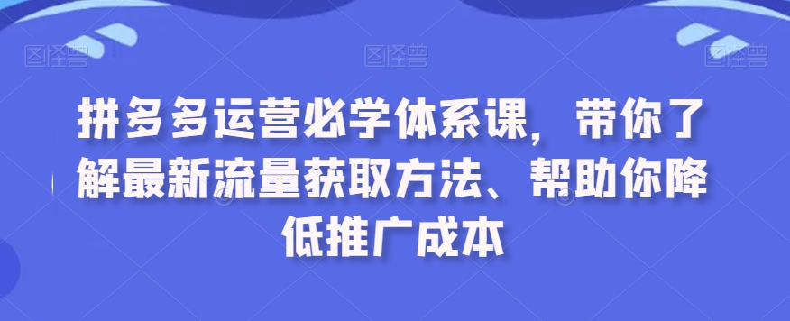 拼多多运营必学体系课，带你了解最新流量获取方法、帮助你降低推广成本-启程资源站