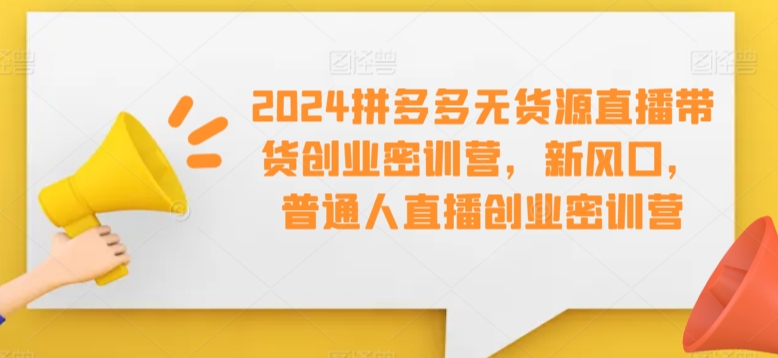 2024拼多多无货源直播带货创业密训营，新风口，普通人直播创业密训营-启程资源站