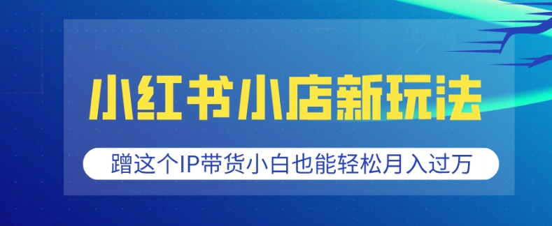 小红书小店新玩法，蹭这个IP带货，小白也能轻松月入过W【揭秘】-启程资源站