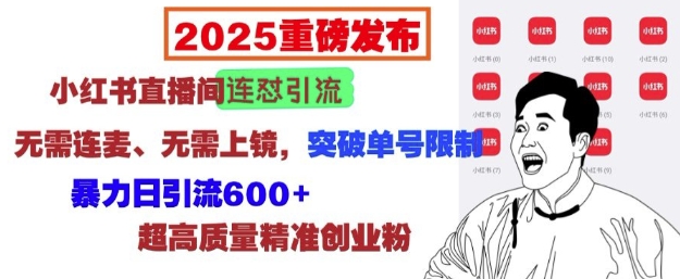 2025重磅发布：小红书直播间连怼引流，无需连麦、无需上镜，突破单号限制，暴力日引流600+-启程资源站