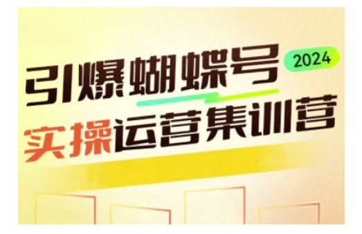 引爆蝴蝶号实操运营，助力你深度掌握蝴蝶号运营，实现高效实操，开启流量变现之路-启程资源站