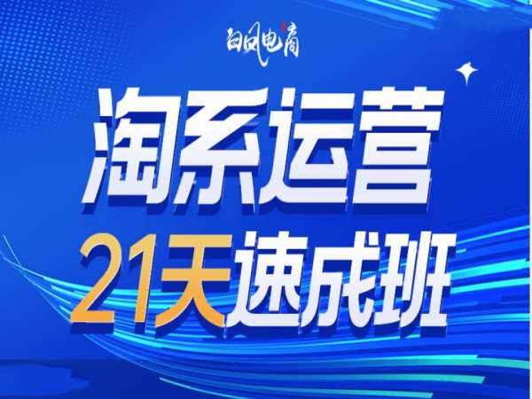 淘系运营21天速成班35期，年前最后一波和2025方向-启程资源站