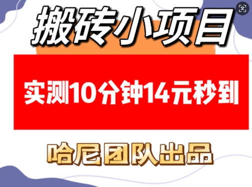 搬砖小项目，实测10分钟14元秒到，每天稳定几张(赠送必看稳定)-启程资源站