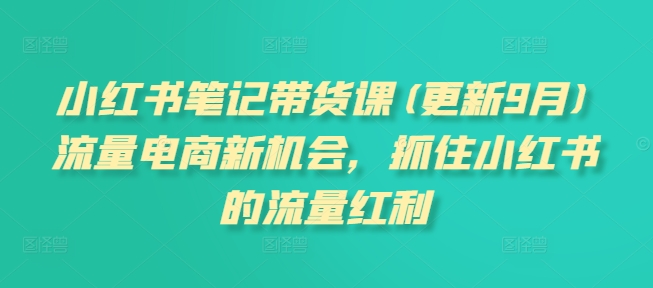 小红书笔记带货课(更新25年2月)流量电商新机会，抓住小红书的流量红利-启程资源站