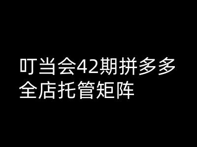 叮当会拼多多打爆班原创高阶技术第42期，拼多多全店托管矩阵-启程资源站