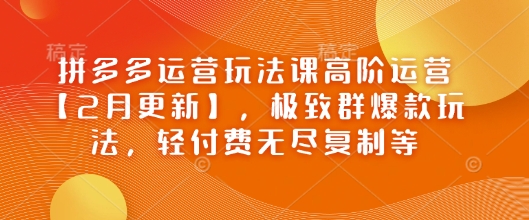 拼多多运营玩法课高阶运营【2月更新】，极致群爆款玩法，轻付费无尽复制等-启程资源站