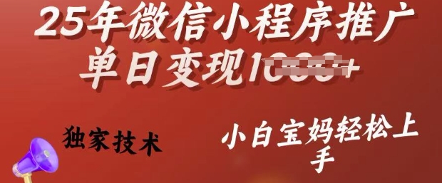 25年微信小程序推广单日变现多张，独家技术，小白宝妈轻松上手【揭秘】-启程资源站