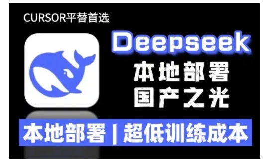 2025年deepseek R1 大型模型本地安装部署(文件+教程)本地部署，超低训练成本-启程资源站